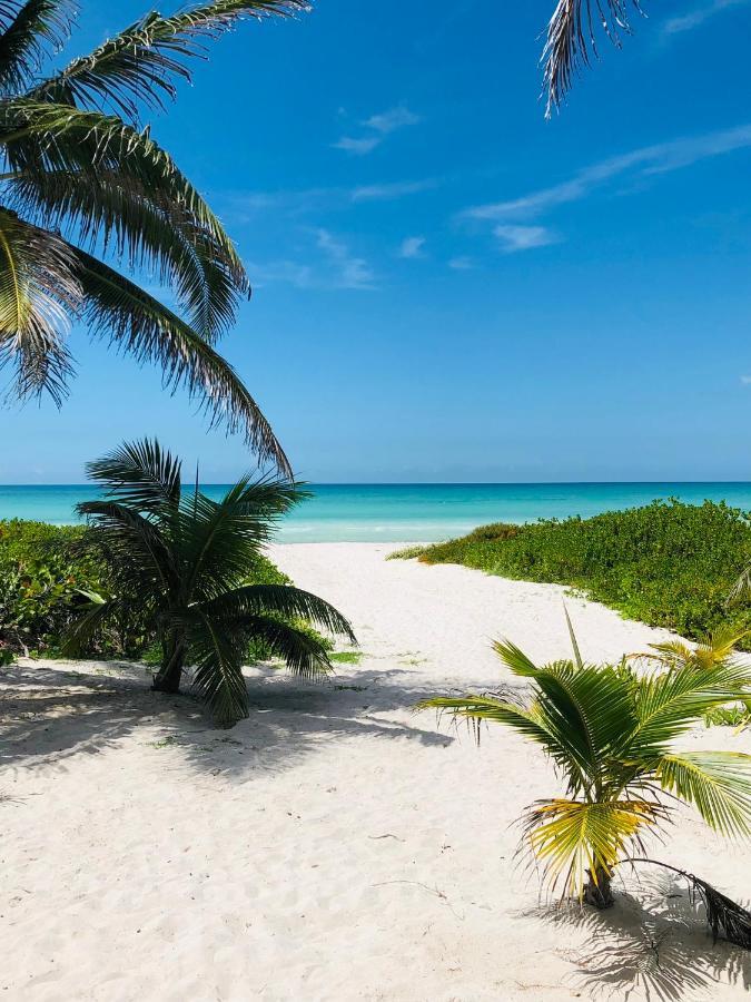 Cabana Tortuga A Unos Pasos De La Playa Apartment El Cuyo Luaran gambar